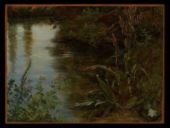 Studie von Wasser und Pflanzen