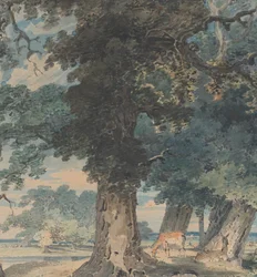 Hirsche im Windsor Forest, 1793-94