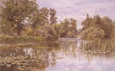Ein ruhiger Fluss