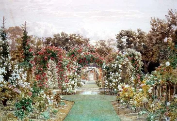 Crimson Rambler im Clandon Park