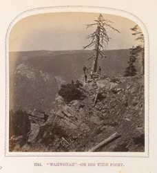 Wahwonah - Oder Big Tree Point