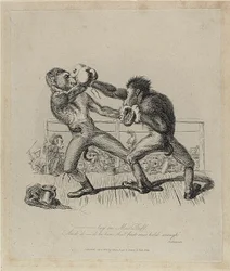 Boxende Affen, aus Monkey-ana