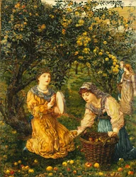 Äpfel pflücken