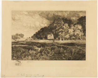 Landschaft von Long Island