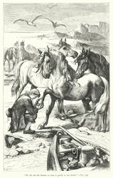 Illustration für Gullivers Reisen von Jonathan Swift