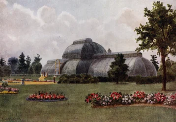 Kew Gardens: Das Palmenhaus