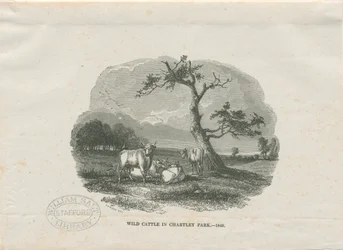 Chartley Halle - Park