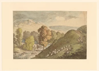 Hügellandschaft mit Schafen