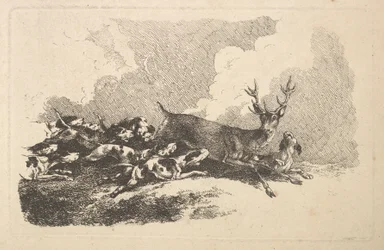 Hunde jagen einen Hirsch