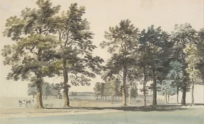 Die Grabeninsel, Windsor Great Park