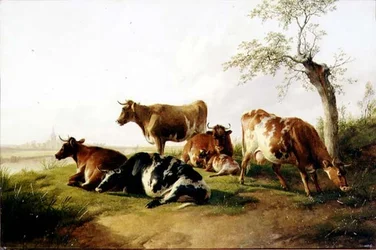 Rinder in einer Landschaft