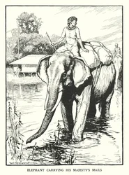 Elefant trägt die Post Seiner Majestät (Lithografie)