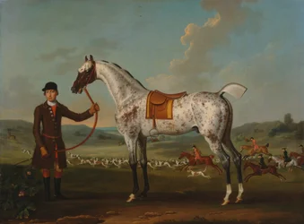 Scipio, ein gefleckter Jäger, Eigentum von Colonel Roche