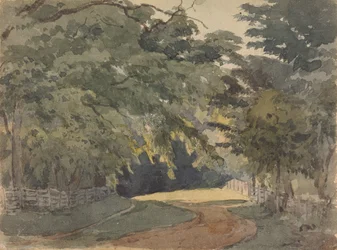 Baumgesäumte Allee