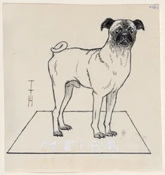 Mops Meier