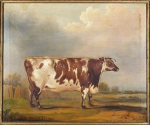 Wildair, eine achtjährige Kuh in einer Flusslandschaft, 1827