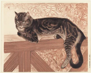 Sommer: Katze auf einer Balustrade