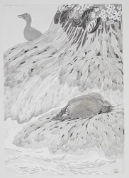 Eine Eiderente und ein toter Vogel am Strand