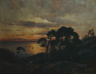 Kiefer am Sonnenuntergang