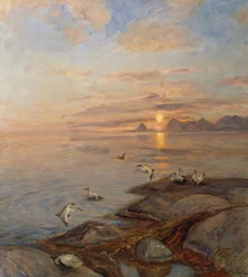 See Vögel in der Mitternachtssonne