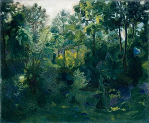 Waldinneres