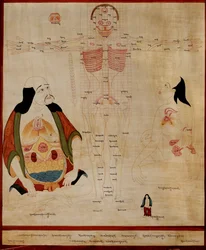 Manuskript der Meridianpunkte