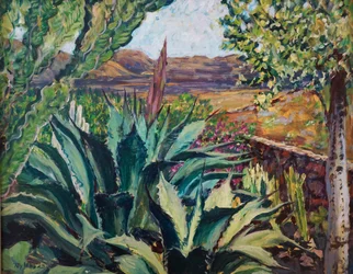 Lanzarote Landschaft, 2023