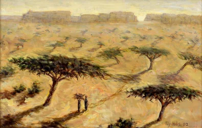 Sahelische Landschaft, 2002