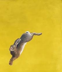 Der Sprung-Gelb