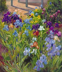 Schwertlilien und Schatten des Gartenhauses, 1996