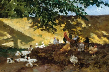 Enten und Hühner in einem Bauernhof