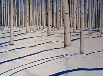 Schneebedeckte Wälder, 2017
