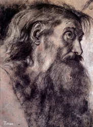 Kopf eines alten Mannes (Zeichnung von Tiziano Vecellio, genannt Tizian, 16. Jahrhundert, Paris, Louvre Museum)