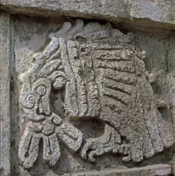 Relief eines Adlers, Tempel des Quetzalcoatl