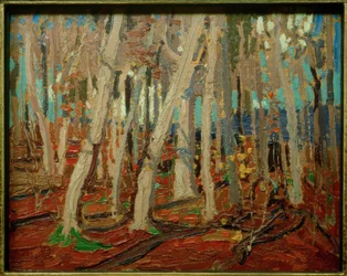 Ahornwälder, kahle Stämme, 1915