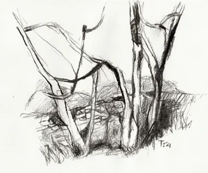 Karger Wald Skizze