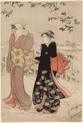 Matsuchi-Hügel nach Schneefall