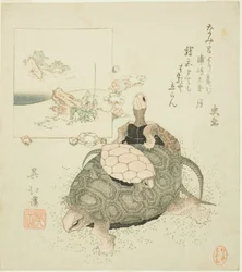 Meeresschildkröten und Urashima Taro