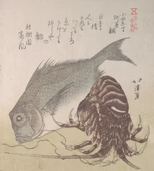 Tai-Fisch und Hummer, Spezialitäten von Yanagiya in Odawara-cho