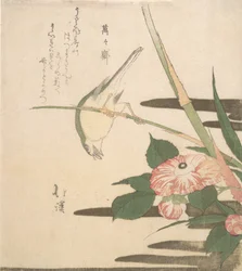 Grasmücke und Kamelie