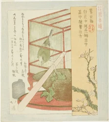 Grasmücke im Käfig, aus der Serie "Eine Serie für die Hanazono-Gruppe (Hanazono bantsuzuki)"