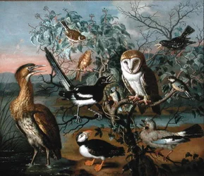 Ein Konzert der Vögel: ein Papageientaucher, Eichelhäher, Kohlmeise, Rohrdommel, Star, Elster, Goldammer, Rohrammer und Schleiereule