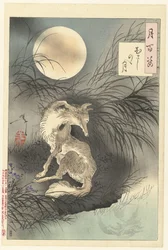Mond von Musashi