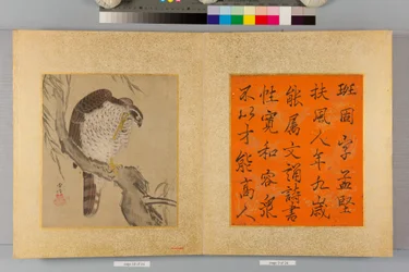 Album von Falken und Kalligraphie