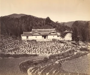 Teefeld und Josshaus in Peling, ca. 1869