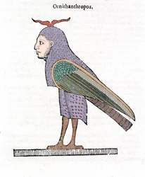Ornithantropos. Vogel mit menschlichem Kopf. Ulisse Aldrovandi „De monstrorum Historia“ Bologna 1642
