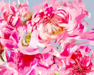 Rosa Blumenexpression