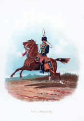 11. Husaren