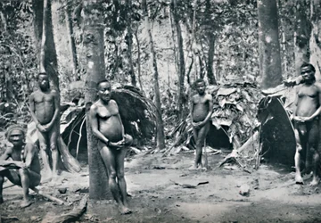 Ein Pygmäendorf, Nordost-Kongo-Becken, 1912