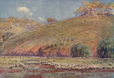 Eine Schafweide, 1923